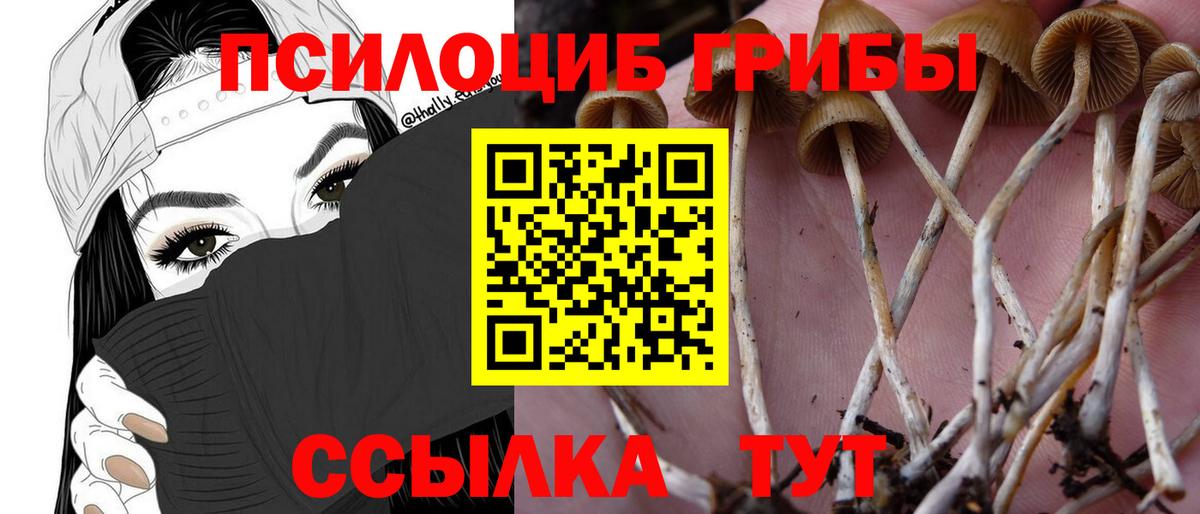 Галлюциногенные грибы Psilocybine cubensis  Вход с VPN  Верхняя Пышма 